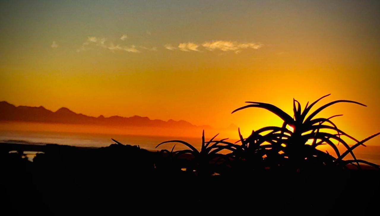 Lookout Lodge Plettenberg Bay Kültér fotó